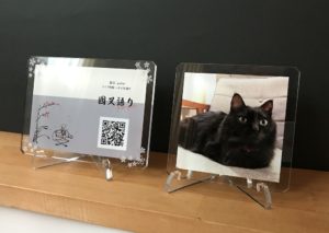 フォリプラッテ体験レビュー