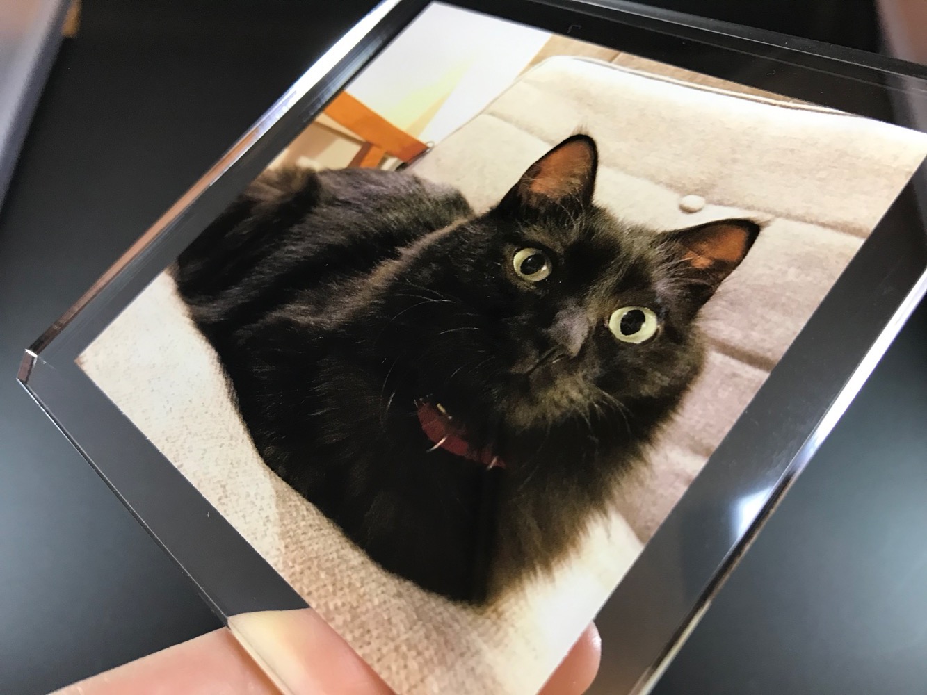 フォリプラッテの写真画質
